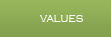 Corporate Values